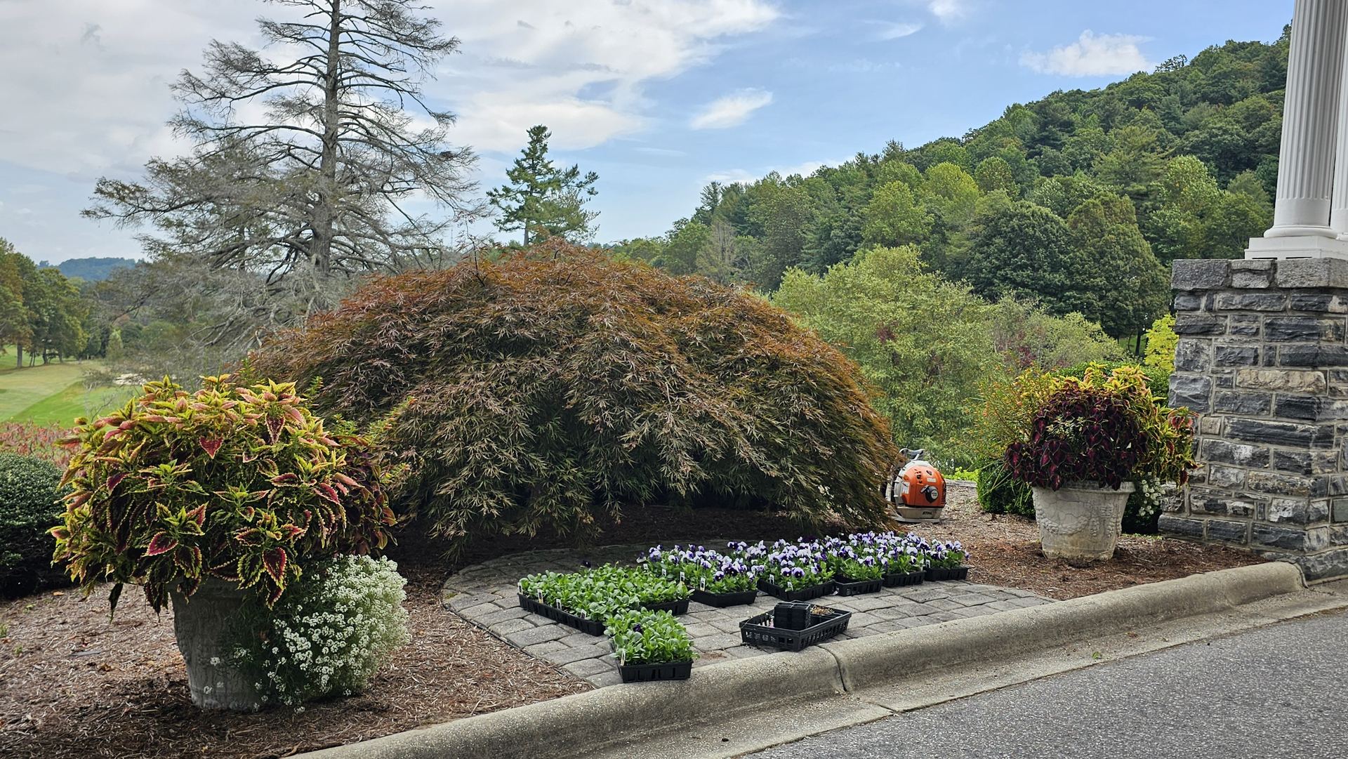 Cared-for Henderson County property with mountain landscape