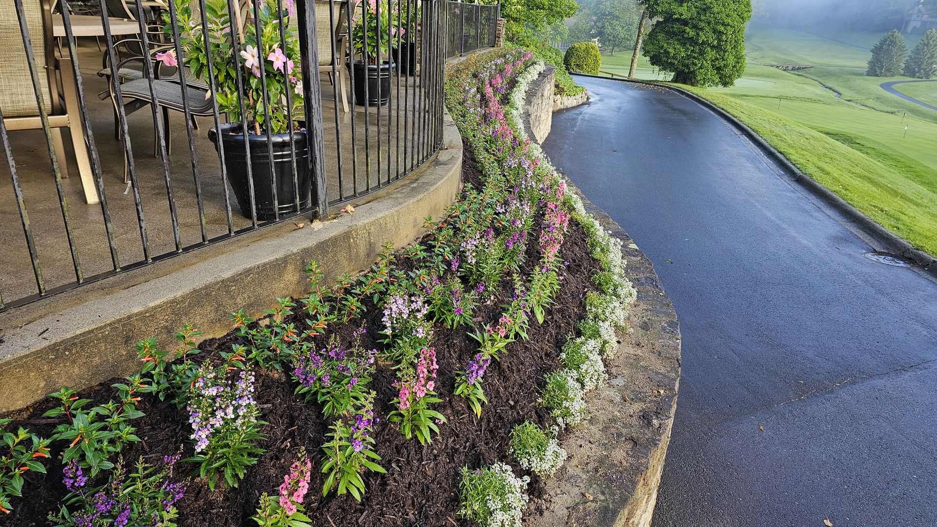 Layered flowering landscape and healthy grounds