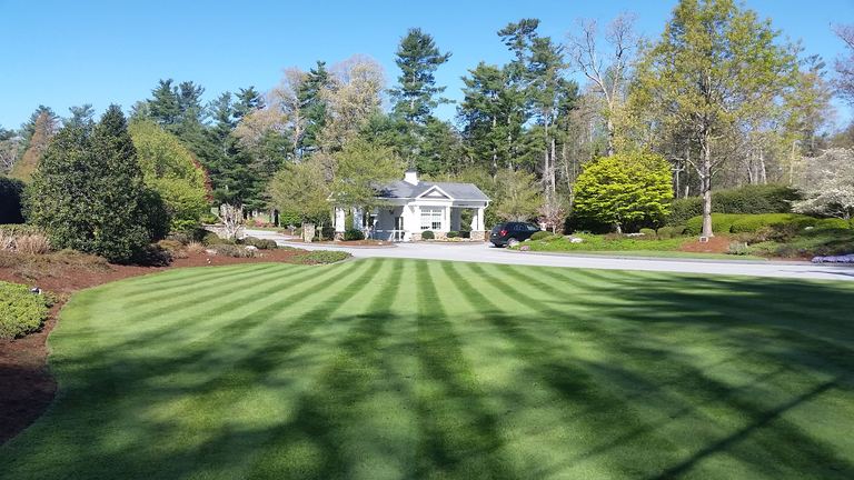 Striped lawn maintained for summer outdoor living