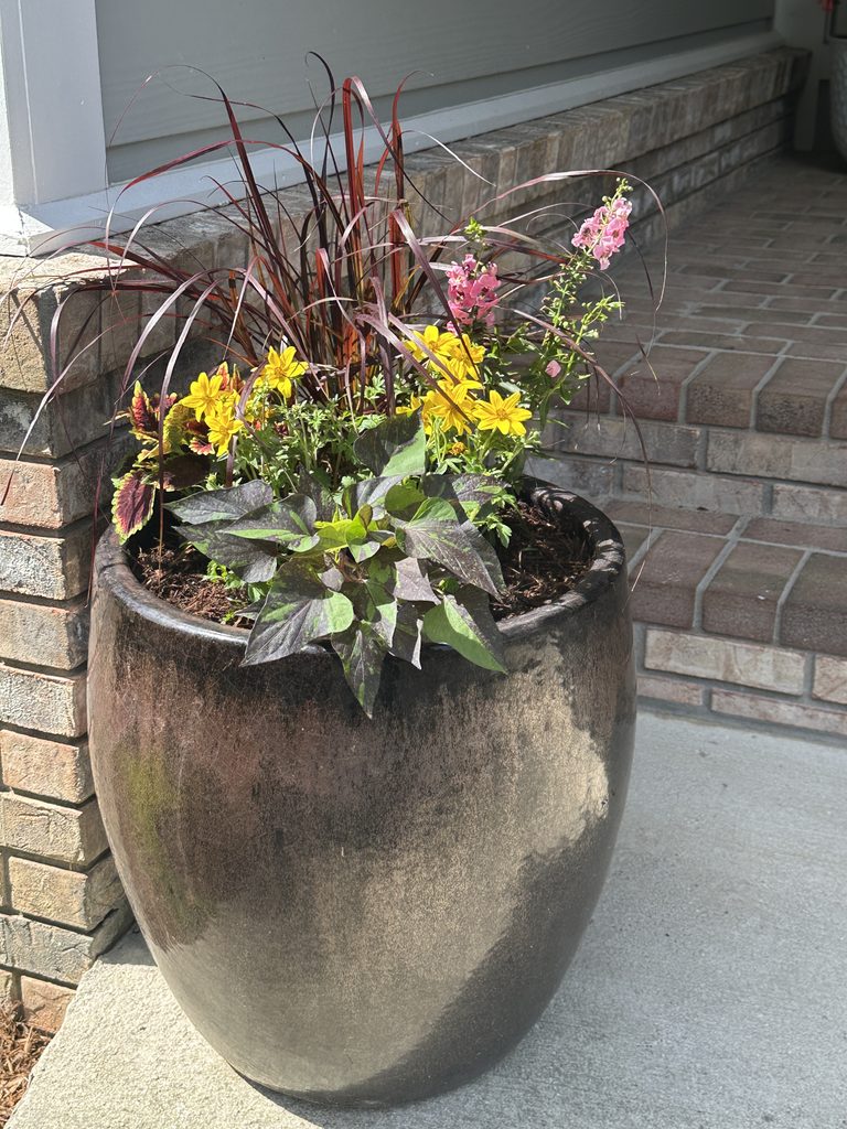 Large warm summer urn with flowers, foliage, and vertical texture