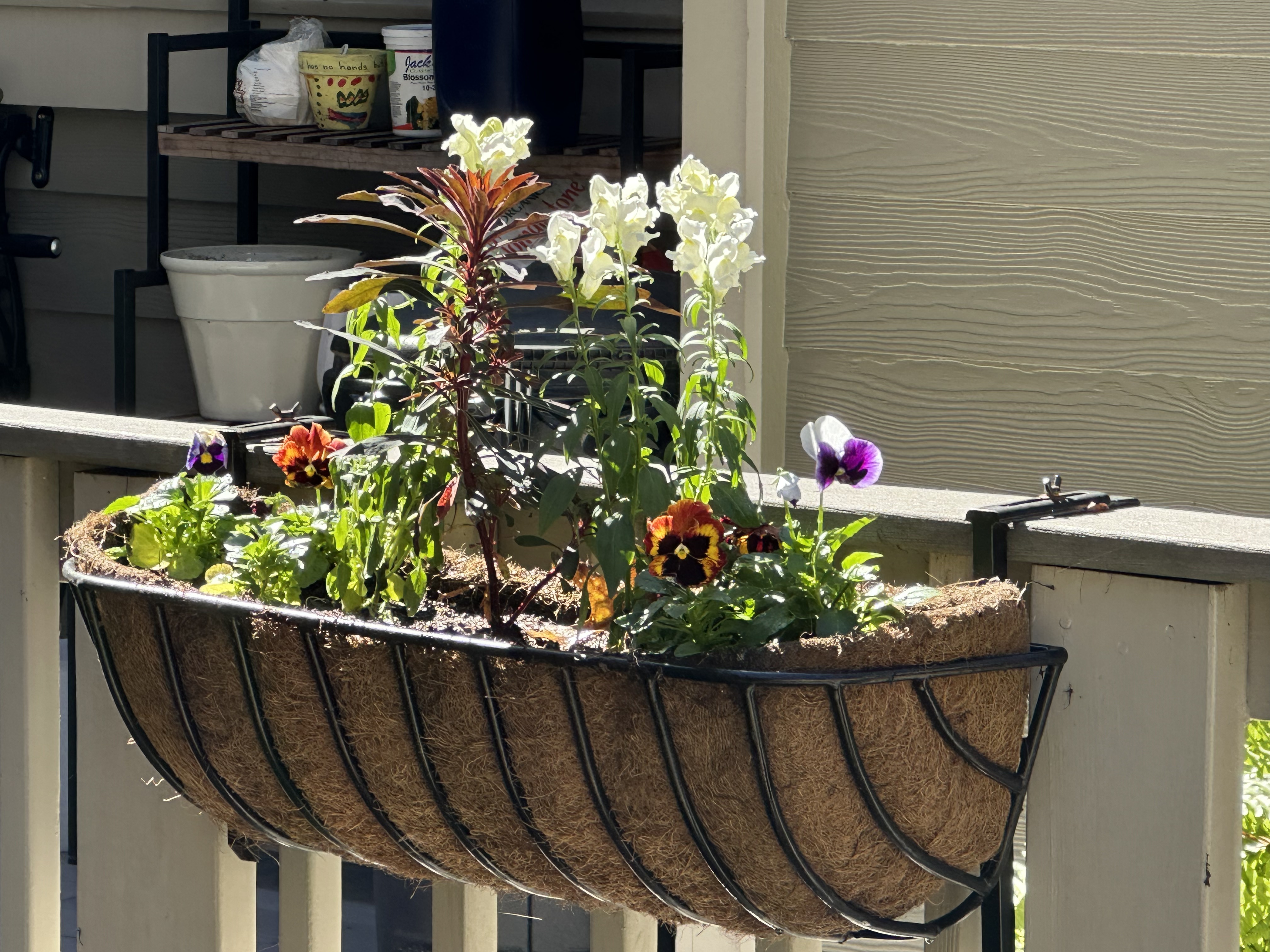 Coco-lined window box overflowing with pansies and snapdragons