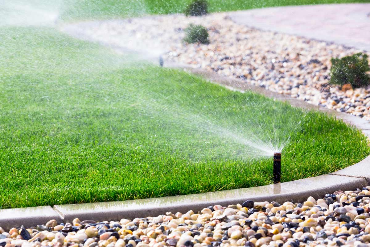 Automated sprinklers hydrating a vibrant landscape